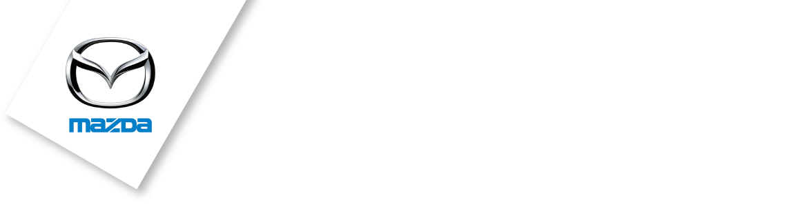 mkg3000_logo_header